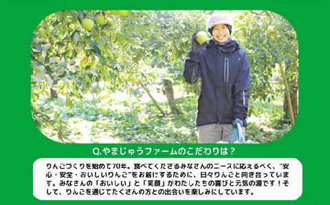 りんご サンふじ 家庭用 ～ 秀 3kg やまじゅうファーム 沖縄県配送不可 2024年11月下旬頃～2024年12月中旬頃順次発送予定 R6年度収穫 減農薬 長野県 飯綱町 [1541]