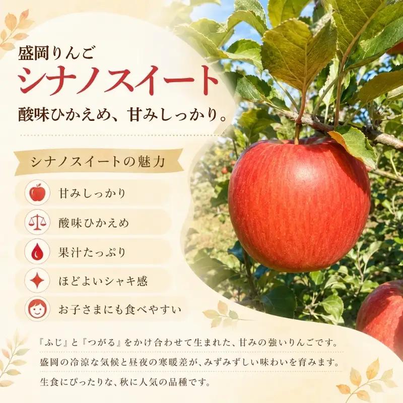 期間限定 贈答用 シナノスイート 5kg(14~20玉)＜10月発送＞ りんご シナノスイート 田村ふぁーむtamura012
