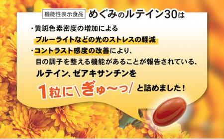 めぐみのルテイン30 360日分（30日分×12袋） ルテイン サプリメント ブルーライト 紫外線 スマホ PC 疲れ 疲労感