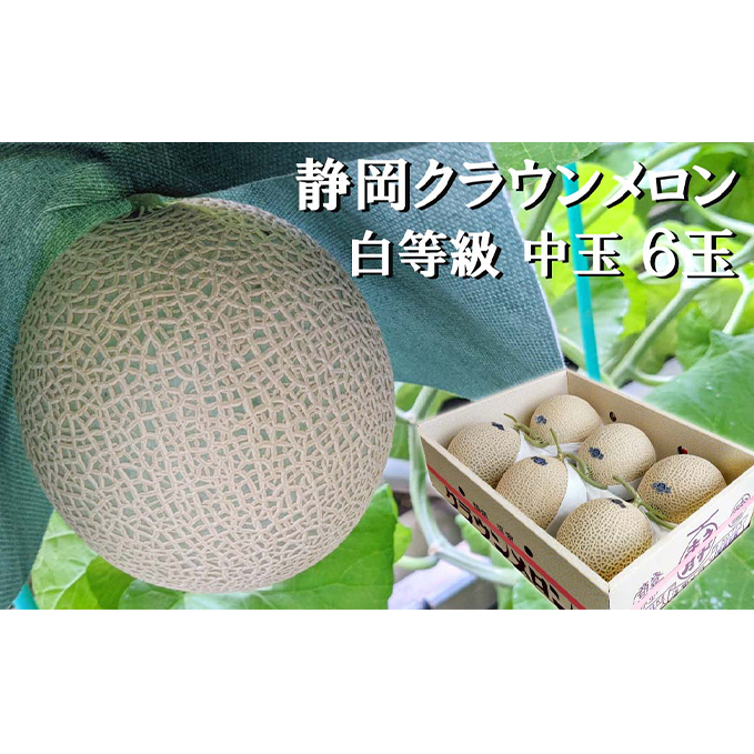 クラウンメロン【並（白等級）】中玉（1.3kg前後）6玉入り 人気 厳選 ギフト 贈り物 デザート グルメ 果物 袋井市 果物類 メロン青肉 フルーツ 