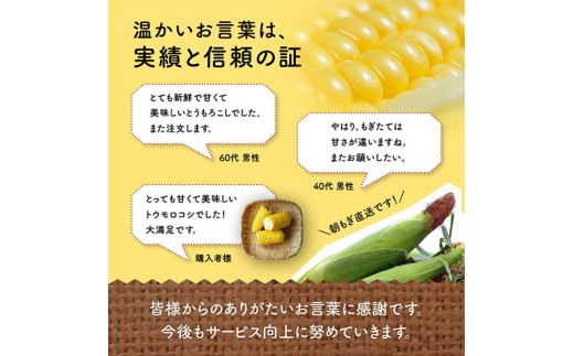 【令和9年発送】井上農園産スイートコーン(ゴールドラッシュ)10~14本 【 トウモロコシ スイートコーン 2027年発送 先行予約 数量限定 期間限定 】