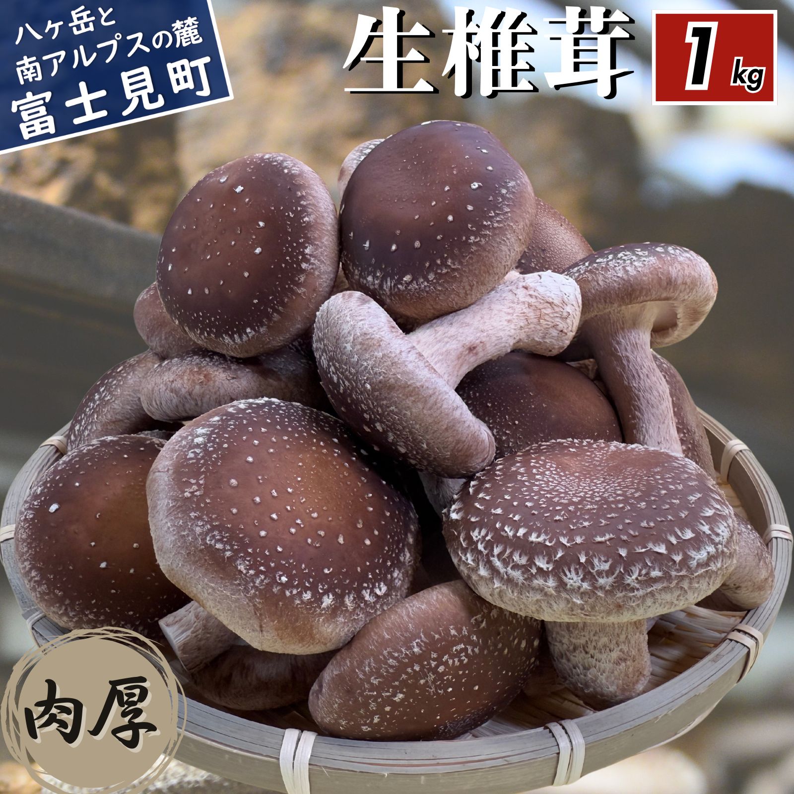 【ふるさと納税】 肉厚 生しいたけ 1kg 八ヶ岳山麓育ち 国産 朝採れ 安心安全 農薬不使用 ハウス栽培 芳醇な香り 椎茸 信州 送料無料