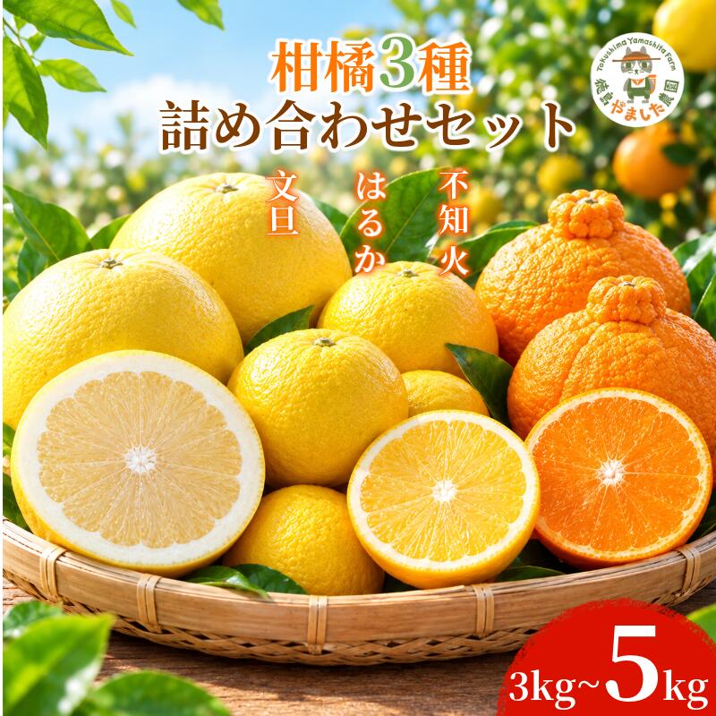 【ふるさと納税】 【2027年1月下旬順次発送】 柑橘 詰め合わせ3種 3kg ~ 5kg しらぬい はるか 文旦 詰め合わせ フルーツ 食べ比べ 果物 ぶんたん 不知火 お取り寄せ 人気