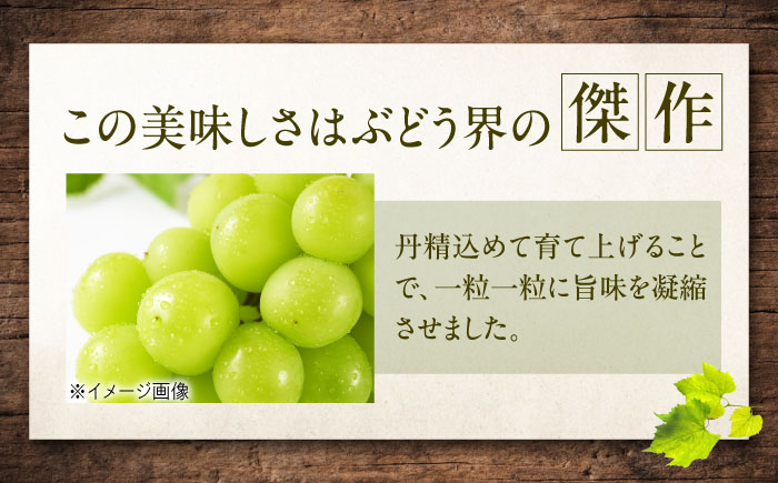 【先行予約】シャインマスカット 約2kg1箱（4房〜6房）＜2026年8月中旬から発送＞/ シャインマスカット マスカット ますかっと ぶどう ブドウ 葡萄 愛媛県 愛媛 内子町 フルーツ 果物 送料