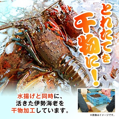伊勢海老の干物200g×2尾【配送不可地域：離島】