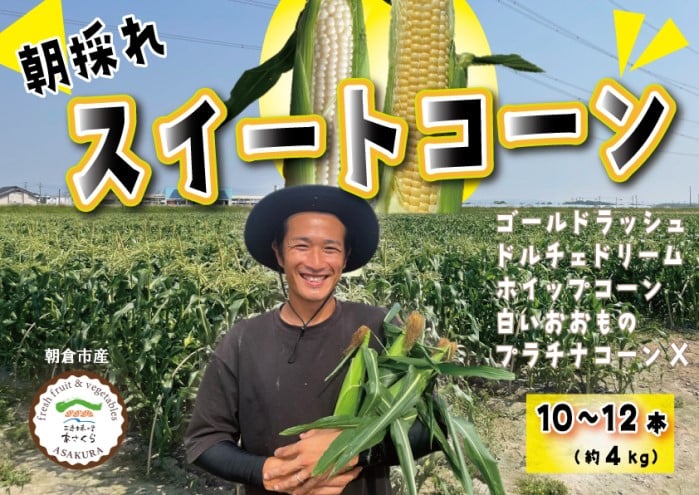 
            とうもろこし 朝倉市産 スイートコーン 朝採り！約4kg ※配送不可：離島、北海道、東北、沖縄
          