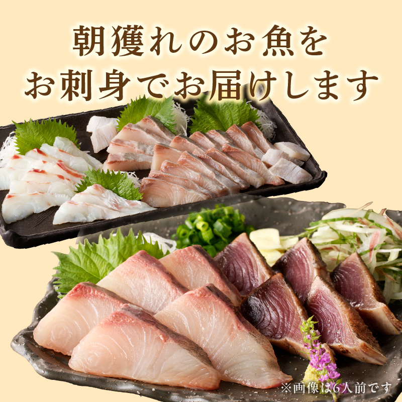 【単月お届け】大和の高級お刺身　4人前【冷凍】 N072-YA2291