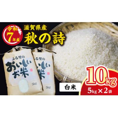 ふるさと納税 近江八幡市 令和7年産　近江米【秋の詩 10kg】環境こだわり米