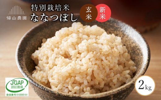 【新米予約】玄米ななつぼし2ｋｇ　箱入　《帰山農園》