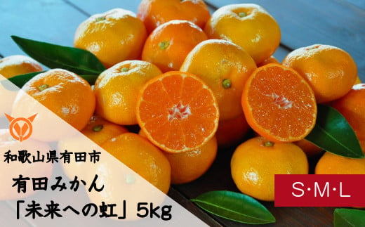 有田みかん「未来への虹」（5kg）(A973-1) 