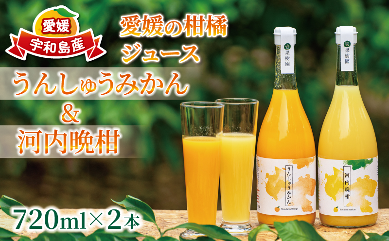 予約受付 愛媛 の 柑橘 ジュース 720ml 2本 セット 壱果樹園 みかん 河内晩柑 温州 ストレートジュース 100% 果汁 飲料 オレンジジュース 国産 愛媛 宇和島 H015-141002