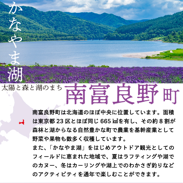 2025年夏発送 メロン 北海道 ふらの 赤肉 メロン 2kg×4玉 JAふらの 厳選 産地直送 赤肉 富良野メロン フルーツ 果物 果実 旬 旬のくだもの デザート おやつ ギフト プレゼント 贈答