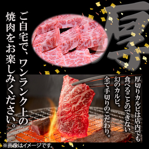 ＜A4・A5等級＞鹿児島県産黒毛和牛 うしの中山 焼き肉用厚切りカルビ 500g 鹿児島県産 黒毛和牛 和牛 カルビ 肉 牛肉 国産 九州産 焼肉 BBQ 小分け A5 A4 日本一 ランキング 人気