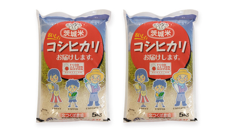 【 JA 北つくば 】 茨城県産 コシヒカリ 10kg 令和6年産 農協 米 お米 白米 コメ こしひかり 茨城県 精米 新生活 応援 [AE027ci]