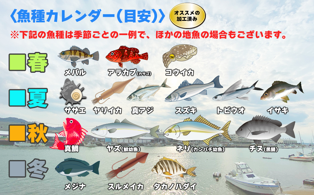 【年10回】お魚よかろうもん！玄界灘・福津の地魚お楽しみ定期便【冷凍】【随時開始】[H7014]