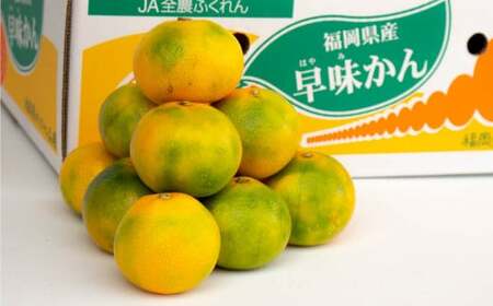 福岡県産 極早生みかん・早味かん 約2kg 早生 ミカン 果物 くだもの フルーツ 柑橘 かんきつ 【2025年9月上旬～9月下旬発送予定】