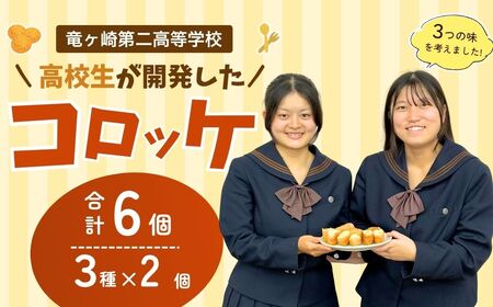 【竜ヶ崎第二高等学校の生徒考案】龍ケ崎はんぺんコロッケ 3種セット | はんぺん コロッケ 茨城県 龍ケ崎市