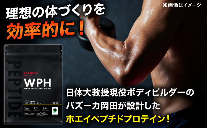 プロテイン BAZOOKA NUTRITION WPH（ホエイペプチド）＜サワーレモン＞ 600g｜バズーカ岡田監修・植物由来の甘味料使用・国内製造 島根県雲南市/株式会社アルプロン [AIEN002
