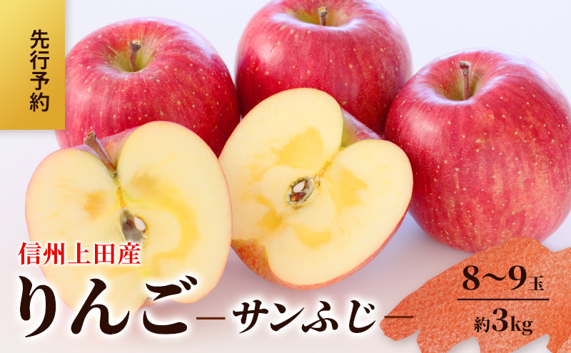 りんご 信州上田産 サンふじ 家庭用 約3kg リンゴ 林檎 3kg サンフジ 果物 くだもの フルーツ デザート 旬の果物 旬のフルーツ 傷 長野県 長野 上田市