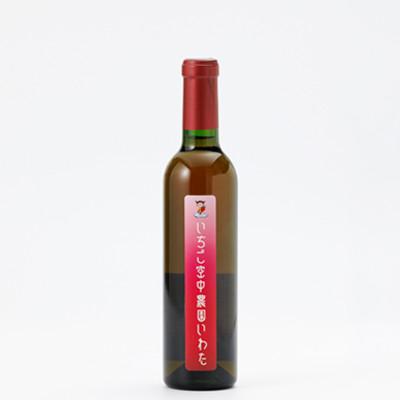 ふるさと納税 磐田市 【静岡いちご】「きらぴ香」苺ワイン 375ml