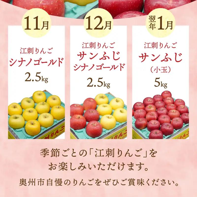 数量限定 奥州市のりんご定期便・3回(11月~翌年1月) 江刺りんごの食べ比べコース [AQ036]