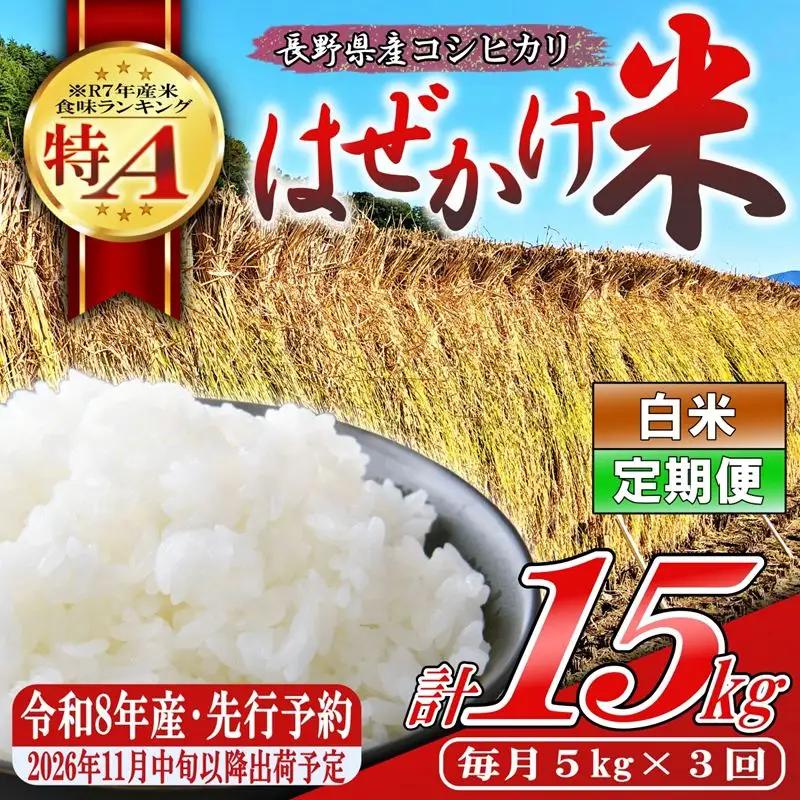 【令和8年産・白米5kg×3ヶ月定期便】長野県産こしひかり はぜかけ米（北海道・沖縄県・離島は配送不可）  【先行予約・2026年11月下旬以降発送】　精米 2026年産 産地直送 信州 長野県 佐久市 美味しい うるち米 先行予約