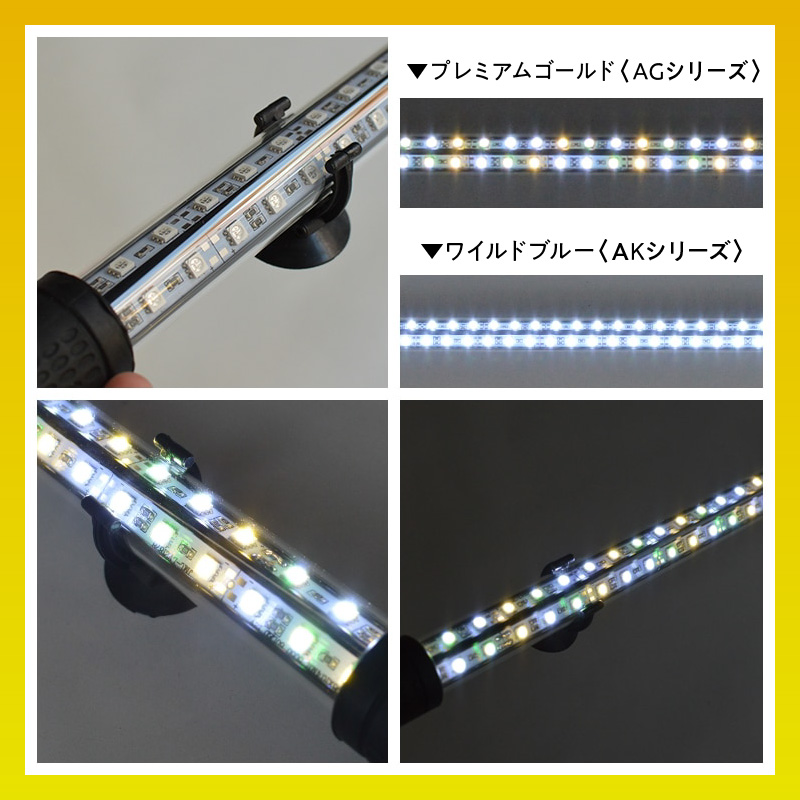 水槽全体を明るく照らし、鱗を際立たせる!金龍専用の高輝度水中ライト|AG120-EX 金龍 専用 プレミアムゴールド 水中 アロワナ 高輝度 水槽ライト テンニングライト グラデーション 3色 LED