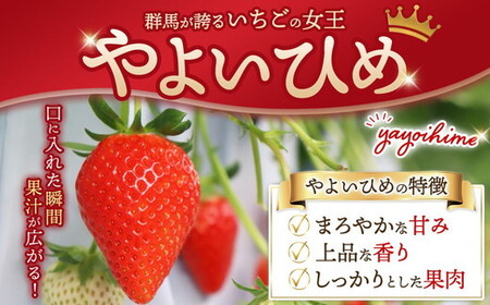 厳選 やよいひめ　プレミアム 2パック ｜ いちご 大粒 高糖度 果物 フルーツ 苺 イチゴ くだもの 新鮮 朝採れ 朝どれ ギフト プレゼント 贈り物 国産 群馬県 伊勢崎市 ※北海道・沖縄・離島へ