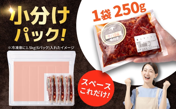 牛肉 ハラミ 牛ハラミ はらみ 小分け 小分けパック サガリ 焼肉 焼き肉 BBQ バーベキュー キャンプ キャンプ飯 味付け肉