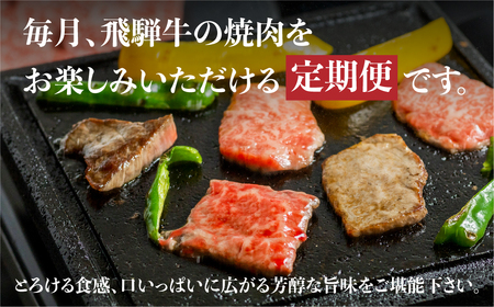 飛騨牛 定期便 4回 焼肉 食べ比べ 250g×4回 焼き肉 牛肉 もも ロース バラ 肩ロース 毎月お届け バーベキュー BBQ JAひだ 40000円 [S401]
