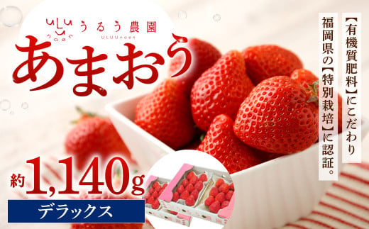 うるう農園 デラックス あまおう 4パック（約1140g）【2025年1月下旬～2025年3月下旬順次発送予定】いちご イチゴ 苺 フルーツ 果物 福岡県産