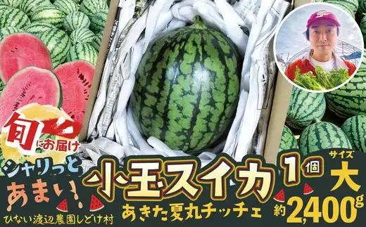 シャリっと甘い小玉スイカ！あきた夏丸チッチェ＜大1個＞　70P3404