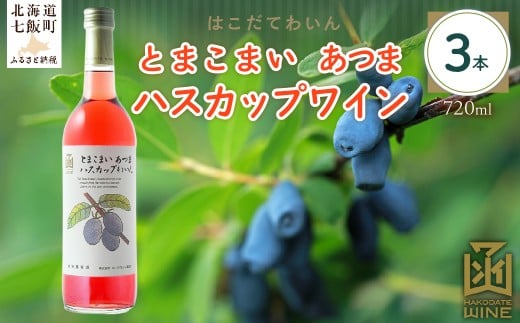 とまこまい あつまハスカップワイン　720ml　3本 【 ふるさと納税 人気 おすすめ ランキング ワイン わいん ハスカップワイン とまこまい あつま セット お酒 アルコール 北海道 七飯町 送料無料 】 NAX044