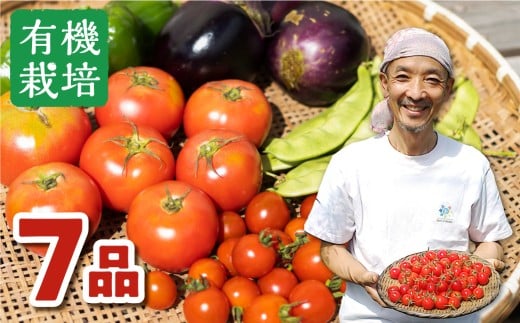 《令和7年産 発送中》野菜の栄養価コンテストグランプリ農家が贈る 無農薬栽培野菜 7品 ありがとうファーム お野菜のレシピ付き [Q234xch_7]
