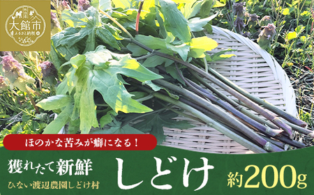 しどけ（モミジガサ） 約200g 瑞々しい山菜の女王【60P3229】