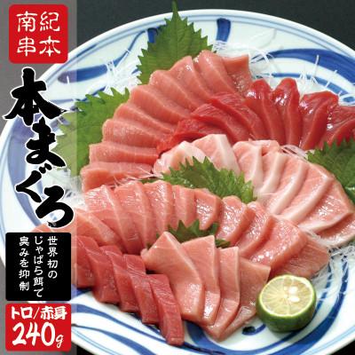 ふるさと納税 串本町 本マグロ(養殖) トロ&amp;赤身セット 240g 【nks113】