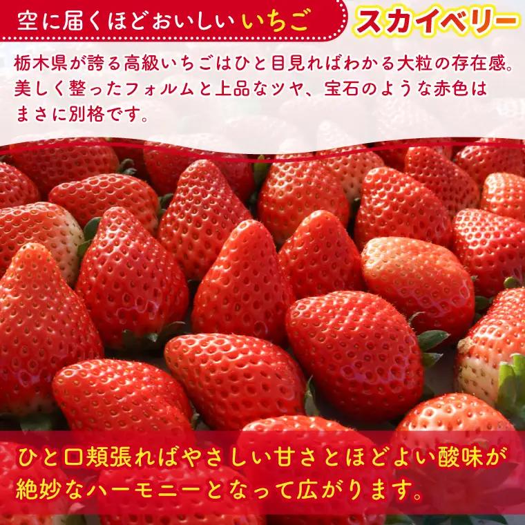 【数量限定】大粒プレミアムいちご スカイベリー 12粒 (約400g)  (DS004)