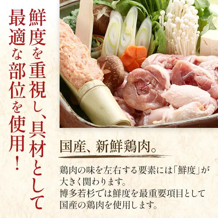 水炊き 4～5人前 セット 博多若杉 