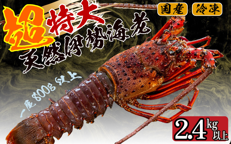 
            超特大 伊勢海老 2.4kg 以上 3尾 冷凍 ( 超特大サイズ 急速冷凍 えび エビ 高級 鮮魚 海鮮 魚介 刺身 焼き物 汁物 ギフト 贈答 贈り物 祝い 歳暮 中元 ) IKY059
          