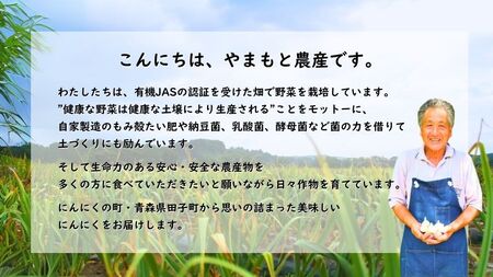 やまもと農産のオーガニックにんにく Lサイズ 1kg