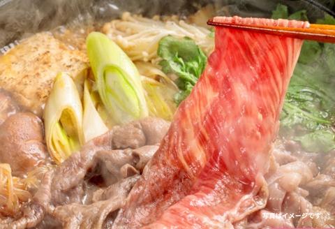 プレミアム佐賀牛 すき焼・しゃぶしゃぶ用 500g×2P（計1kg）：B375-006