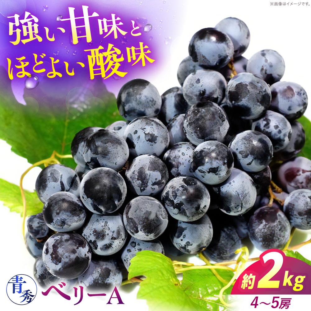 【2026年先行予約】＜9月上旬から順次発送＞ぶどう ベリーA 2kg（4から5房） 青秀 露地栽培 マスカット ブドウ 果物 くだもの フルーツ ぶどう 葡萄 三次市/西田ぶどう園 [APCM012]