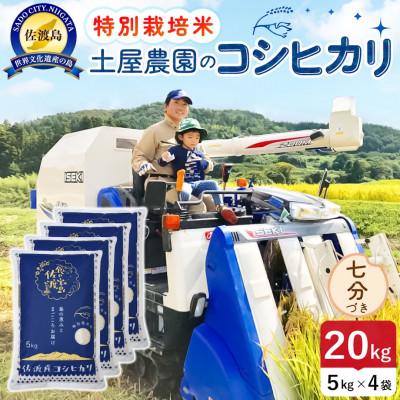 ふるさと納税 佐渡市 【新米予約】令和8年産 佐渡島産コシヒカリ 七分づき20kg 土屋農園 農家直送 特別栽培米