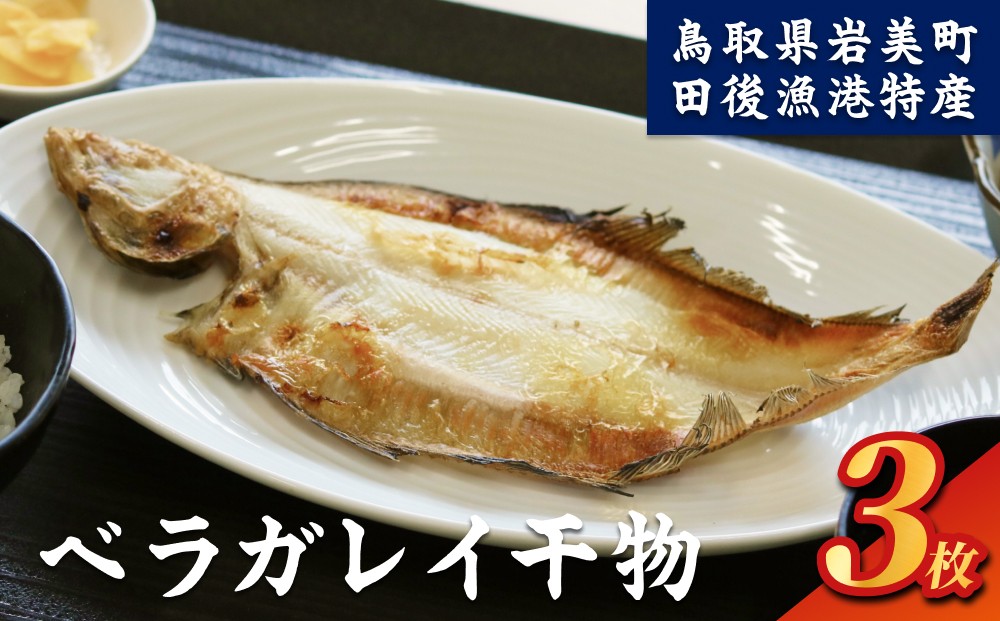 
                  田後漁港特産 ベラガレイ干物 3枚セット 鳥取 岩美 日本海 かれい ひもの 干物【24019】
                
