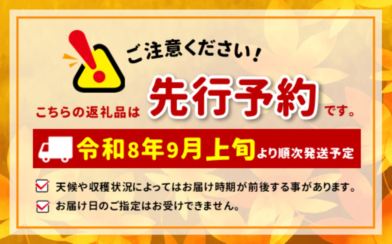【2026年先行予約】梨 豊水 糖度 14度 以上 約5kg | 果物 くだもの フルーツ 豊水 梨 なし ナシ 新鮮 長野県 信州 南信州 飯田市