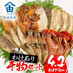 訳あり ひもの 干物 4.2kg おまかせ ひもの 干物 詰め合わせ ひもの 干物 セット ひもの 干物 ホッケ 金目鯛 アジ サバ ひもの 干物 カレイ ひもの 干物 赤魚 ひもの 干物 醤油干し ひもの 干物 フィレ ひもの 干物 冷凍 ひもの 規格外 ひもの 干物 不揃い ひもの 干物 沼津 ひもの 干物