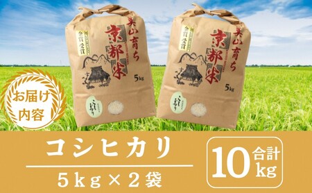 令和7年産新米予約 京都丹波産コシヒカリ 10kg お米 京都府産 新米 精米 おいしい 美山 