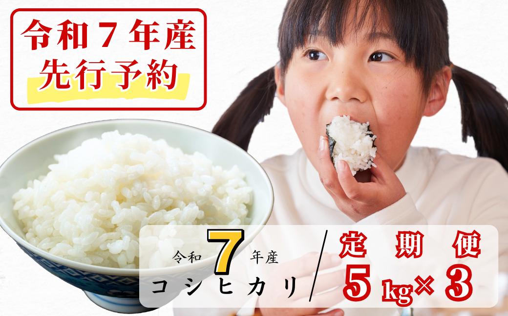 《令和7年産新米先行予約・9月ごろよりお届け開始》【3回定期便】白米 5kg 令和7年産 コシヒカリ 岡山 あわくら源流米 K-af-BEZA