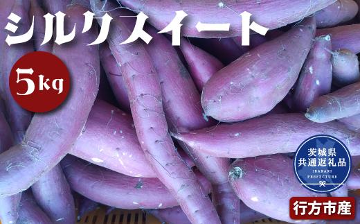 さつまいも シルクスイート 5kg 2026年11月～発送　なめらか食感 甘い 焼き芋 ねっとり しっとり 甘みが強い スイーツ 料理 てんぷら スイートポテト お菓子作り 茨城県共通返礼品・行方市産