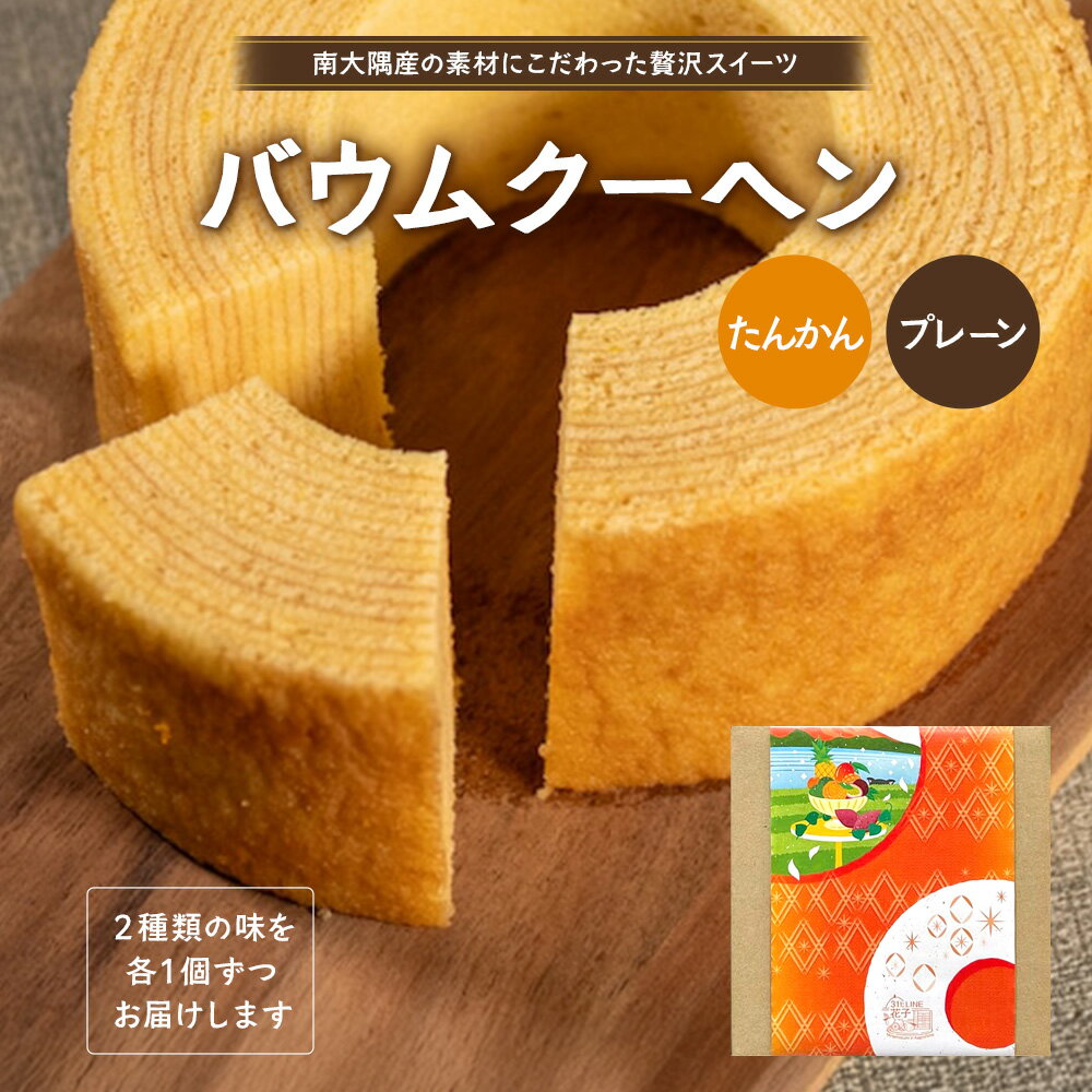 【ふるさと納税】素材にこだわった南大隅町の手作りスイーツ　バウムクーヘン 2個セット ( プレーン ・ たんかん )